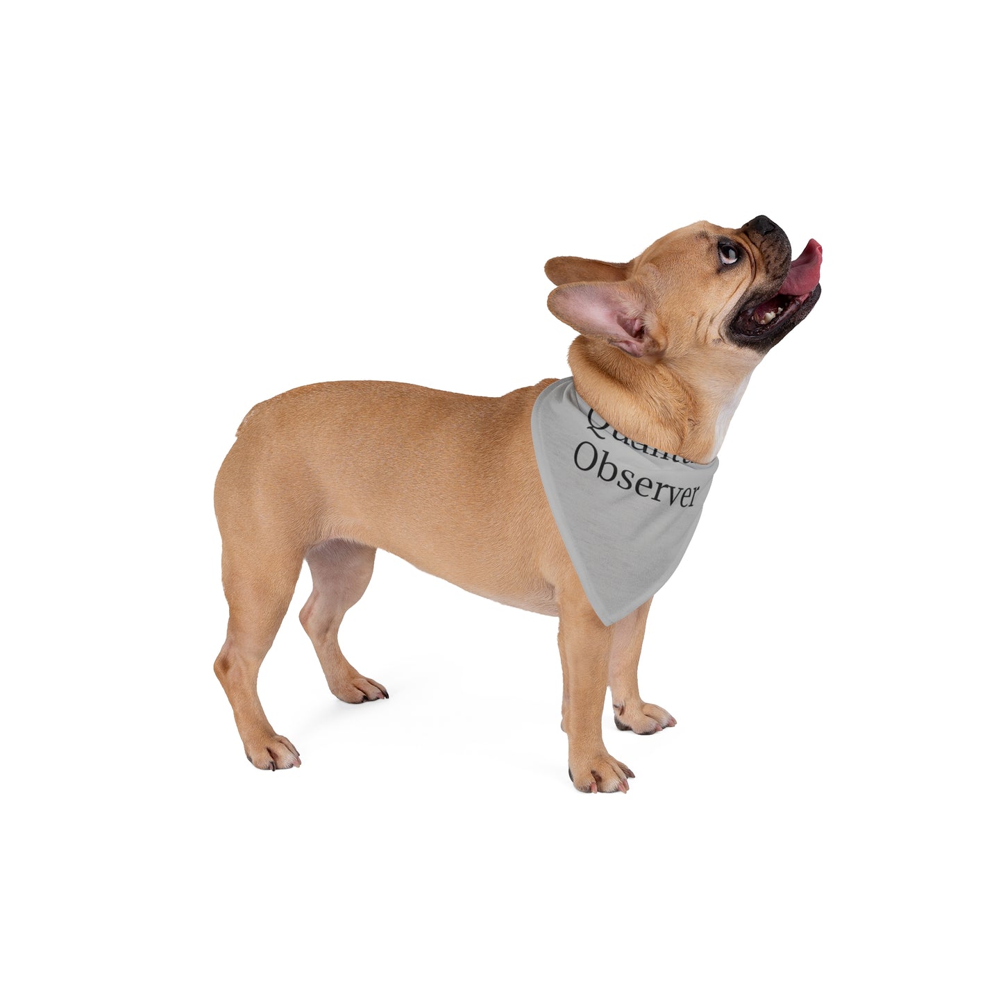 Quantum Observer Pet Bandana