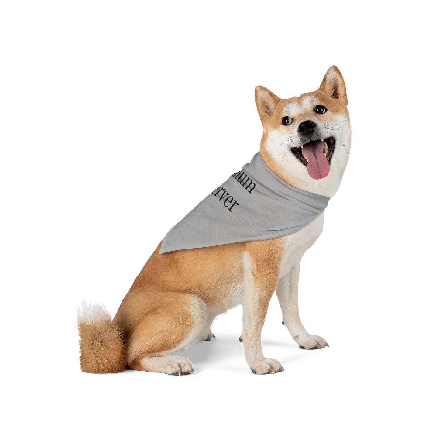 Quantum Observer Pet Bandana